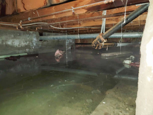 Best 24/7 water damage repair  in Lake Delton, WI