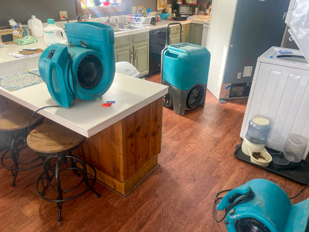 Best Flood damage cleanup  in Lake Delton, WI