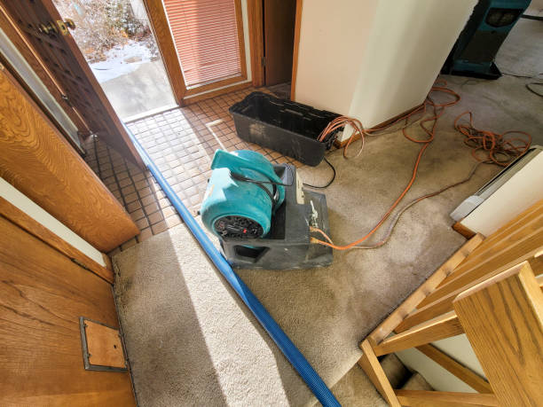 Best Mold removal after water damage  in Lake Delton, WI