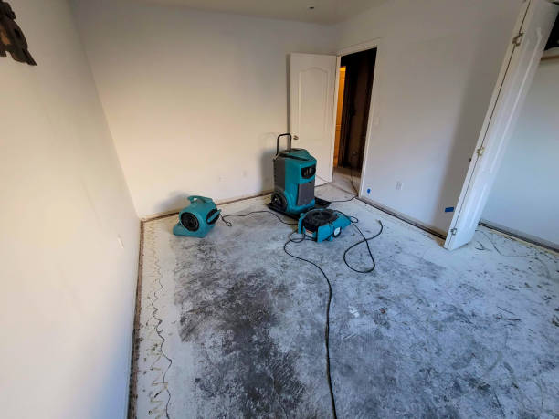 Best Water damage contractors near me  in Lake Delton, WI