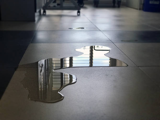 Best Water damage restoration services  in Lake Delton, WI