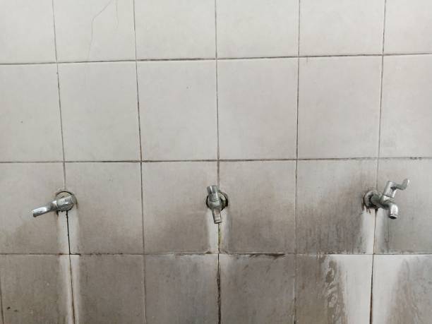 Best Water damage repair service  in Lake Delton, WI