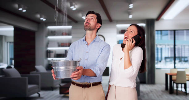Best Mold removal after water damage  in Lake Delton, WI