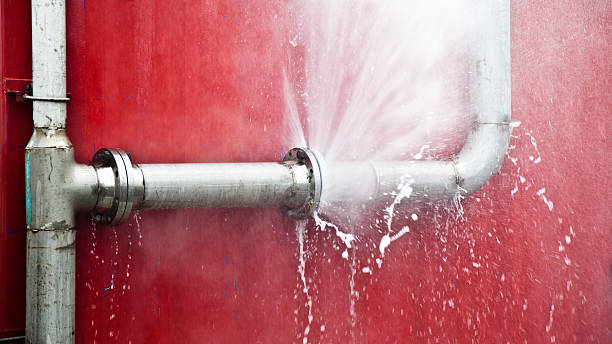 Best Flooded house restoration  in Lake Delton, WI